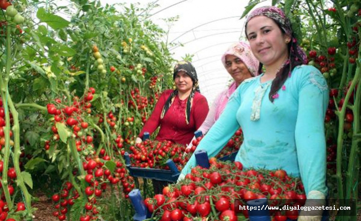 Açın kapıları ucuzlatın pazarı