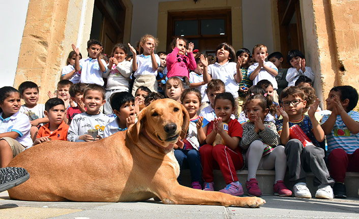 Girne Belediyesi, Beylerbeyi Anaokulu’nda Hayvan Sevgisi Farkındalık Etkinliği düzenledi