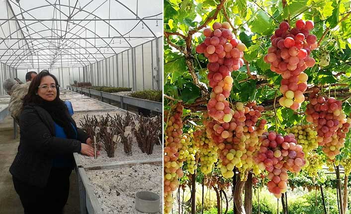 Çalışmalarda sona gelindi