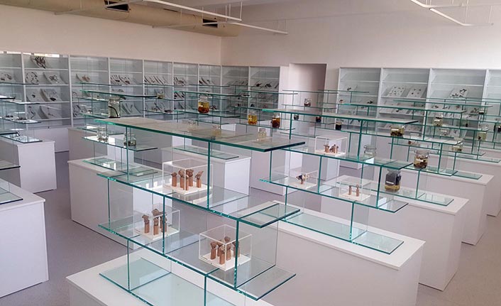 YDÜ’de Herbaryum Müzesi kuruldu