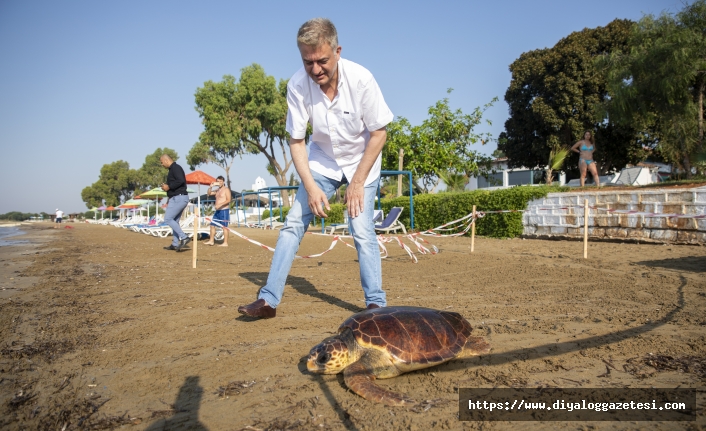 Meritta Deniz Kaplumbağaları Rehabilitasyon Merkezi’nde tedavi edilen 14’üncü kaplumbağa mavi sularla yeniden buluştu