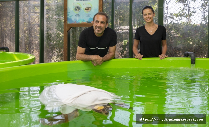Haluk Levent, Meritta Deniz Kaplumbağaları Rehabilitasyon Merkezi hakkında bilgi aldı