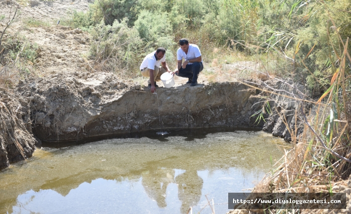 ‘Tüm yıla yaydık’