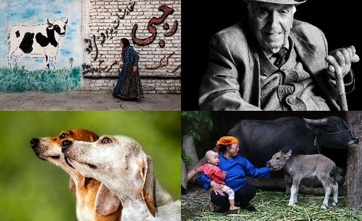 XXIX. Devlet Fotoğraf Yarışması’nın sonuçları açıklandı