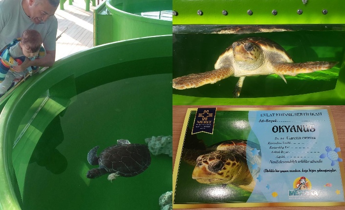 Meritta, “Deniz Kaplumbağası Evlat Edindirme” projesini hayata geçirdi