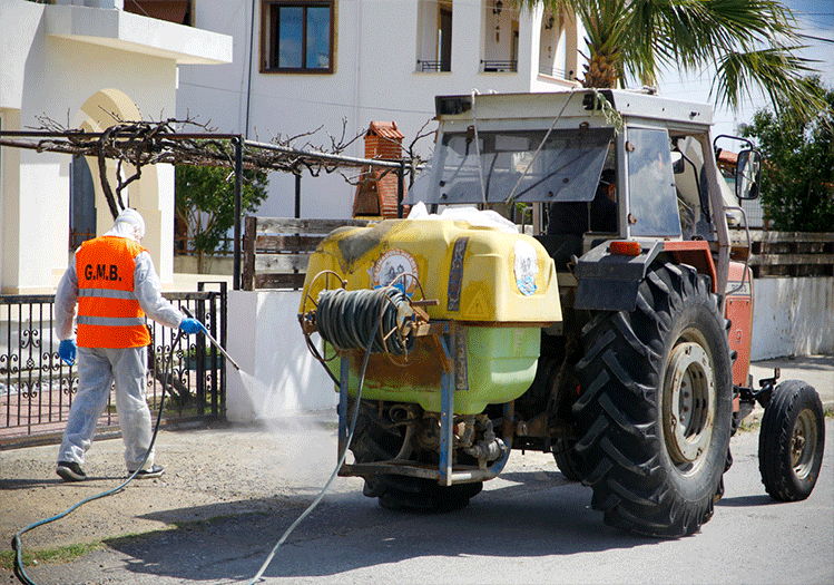 Örnek davranış