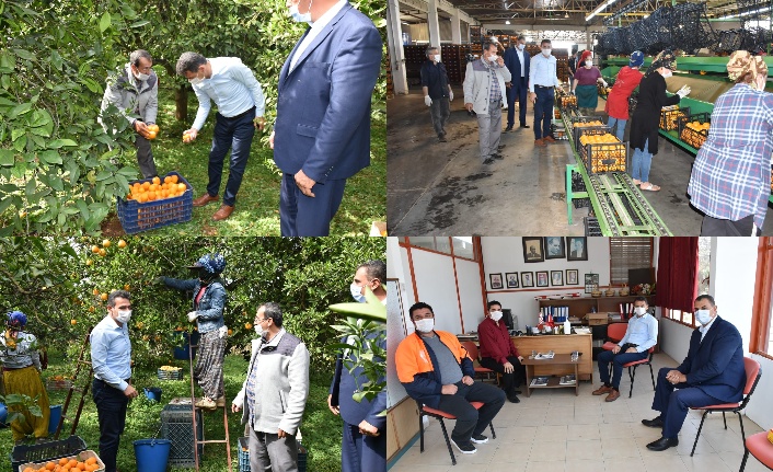 “Her şeye rağmen üretmek zorundayız” 