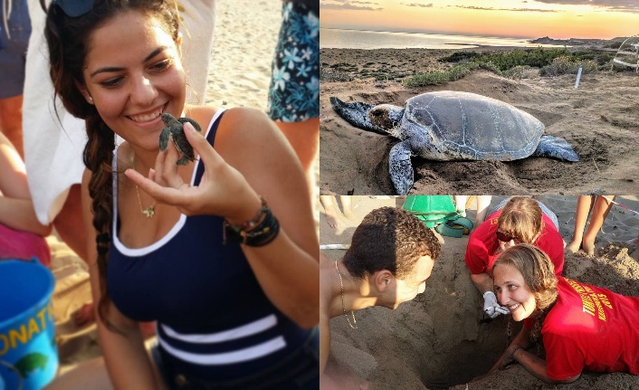 Kaplumbağaları koruma projesi için gönüllüler aranıyor