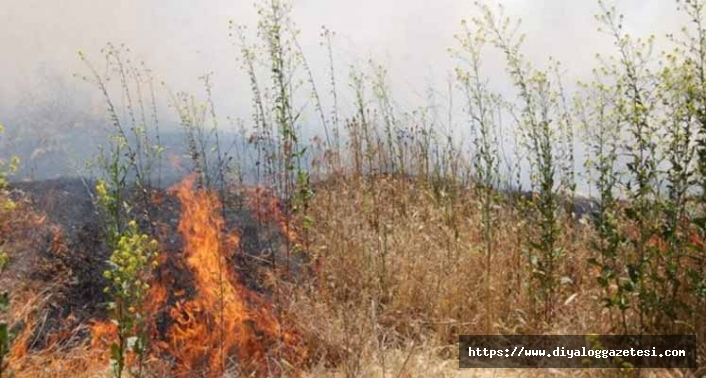Girne’de izinsiz ateş yakan kişiye yasal işlem