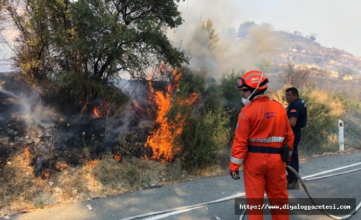 Güney Kıbrıs’ta yangınlar artıyor