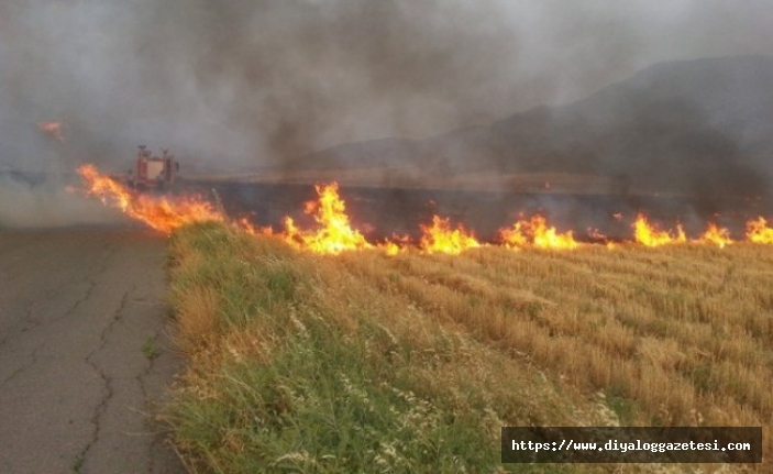 Mesarya’da 250 dönümlük alanda yangın