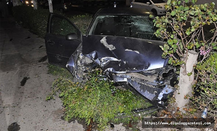Alkollü şoför ölüme sebebiyet verdi