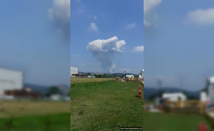 Sakarya'daki havai şişek fabrikasında yangın