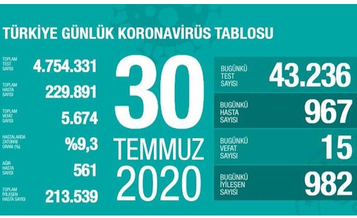 Türkiye'de can kaybı 5 bin 674