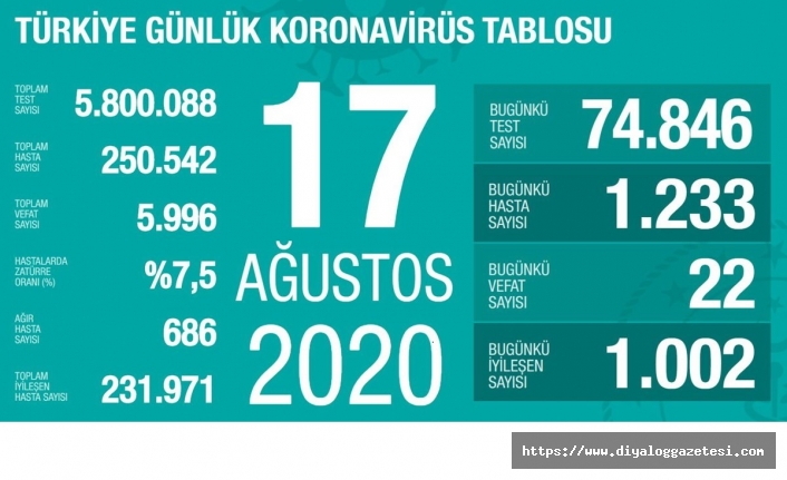 Türkiye’de vaka sayısı 250 bini geçti