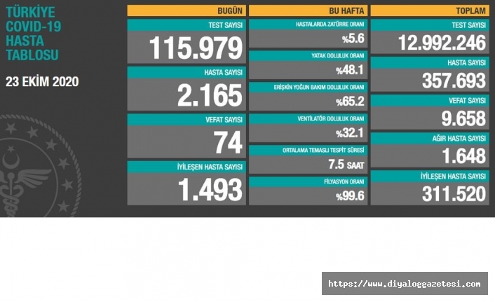 Türkiye'de salgın ikinci zirve döneminde