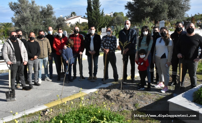 Girne Belediyesi, Karaoğlanoğlu Mezarlığı’na 100 fidan dikti