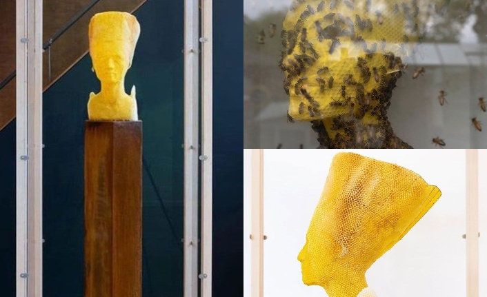 Slovak sanatçı 60 bin bal arısıyla Nefertiti büstü yaptı