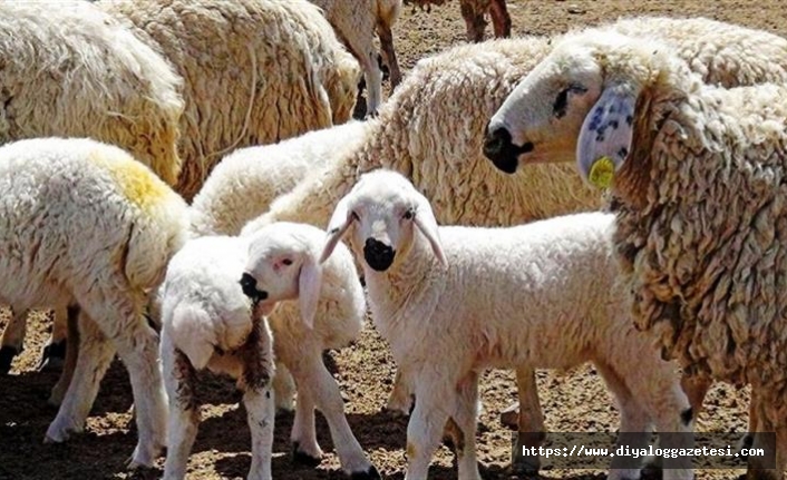 16 Nisan’a kadar  teklif yapılabilir 