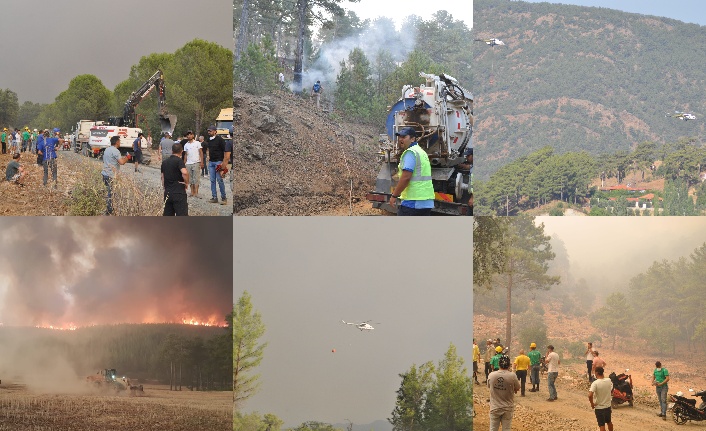 38 ilde toplam 163 orman yangını çıktı