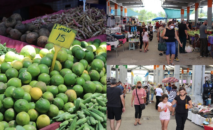 Kıbrıs’ta limonun kilosu 15 lira