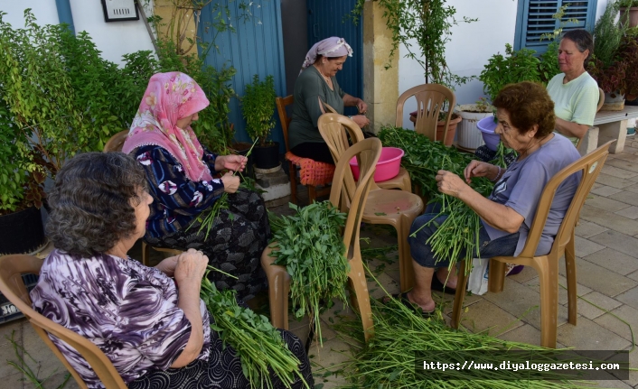 Komşular birlikte ayıklıyor