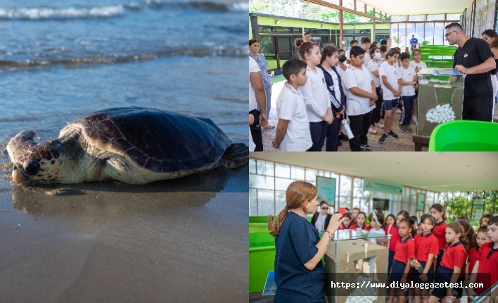 Caretta Caretta  için büyük tehlike