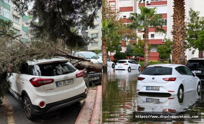 Çatılar uçtu, ağaçlar devrildi