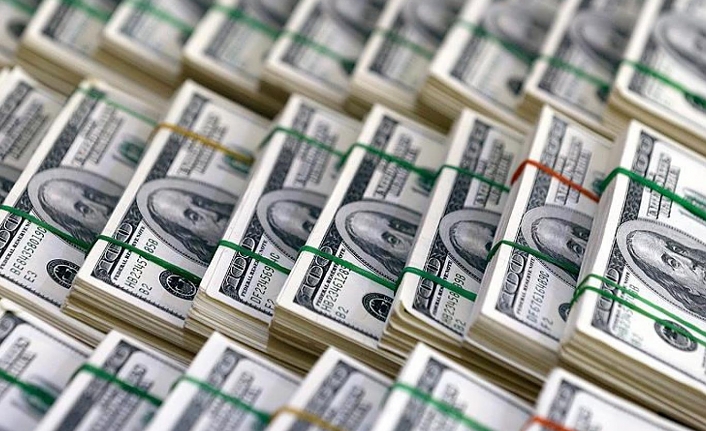 27 bin Dolar'ı şahsi harcamaları için kullandı serbest kaldı