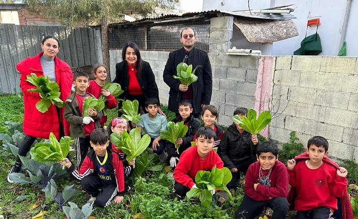 İlk hasatlar yapıldı