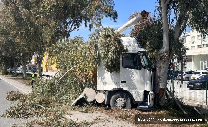 Yoldan çıkılarak ağaca çarptı