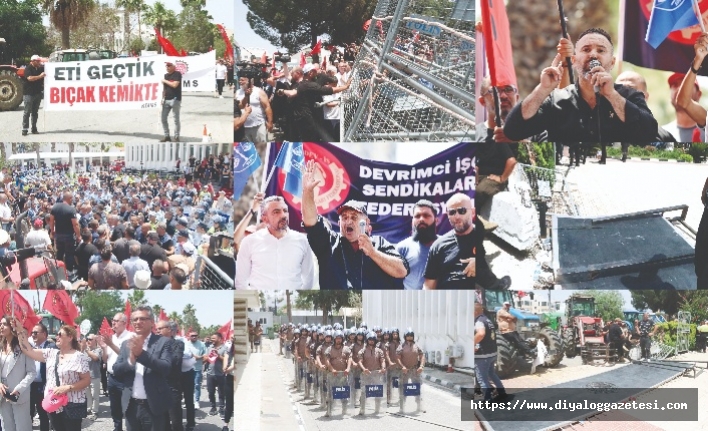 Cesur ama riskli