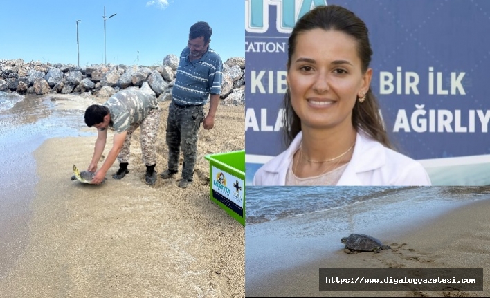 Pembe ve Şanslı  denize kavuştu