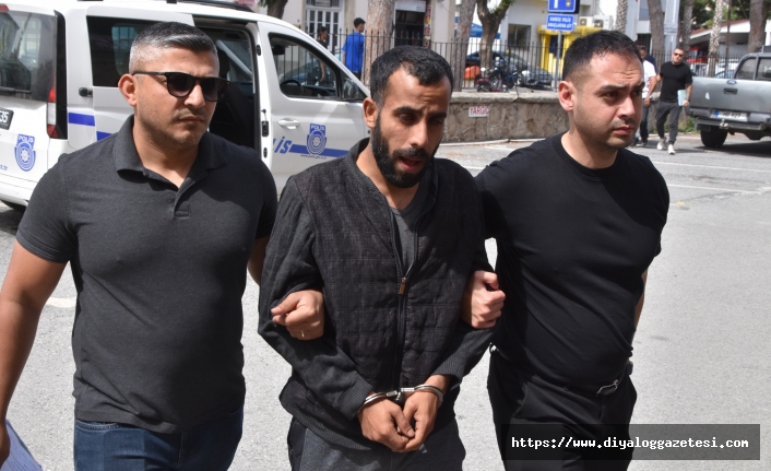 Yangın tüpüyle ortalığı dağıttı
