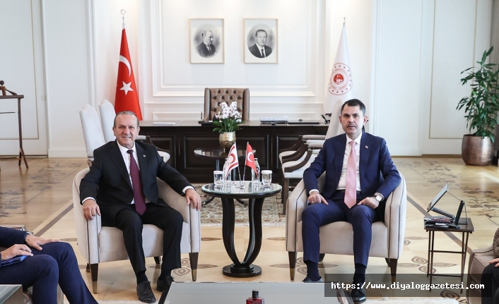 Güçlü destek