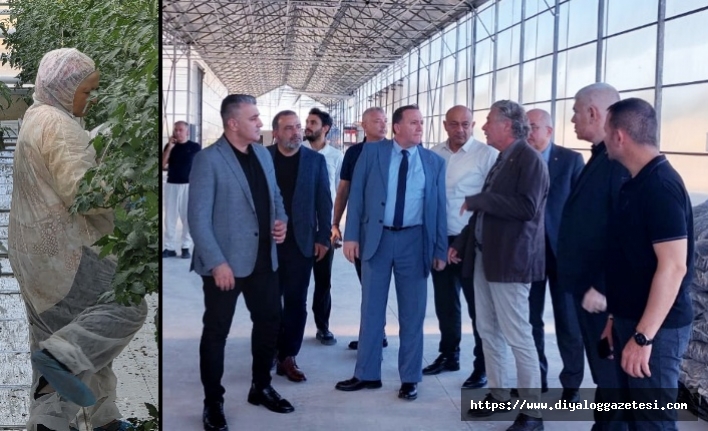 Uzmanlardan bilgi alındı