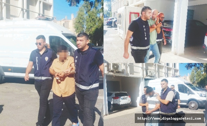 Delilleri çöpe attı