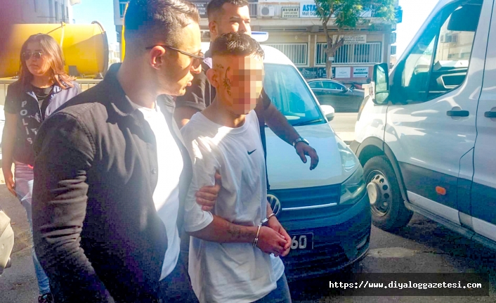 İstesem kül ederdim