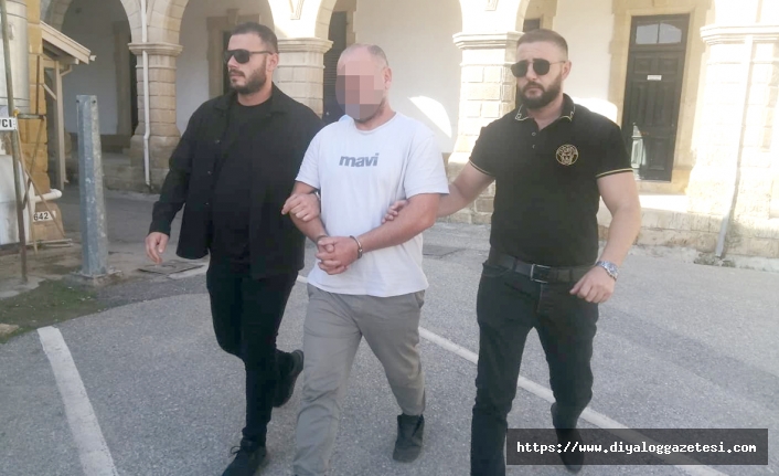 19 silah ülkeye nasıl girdi?