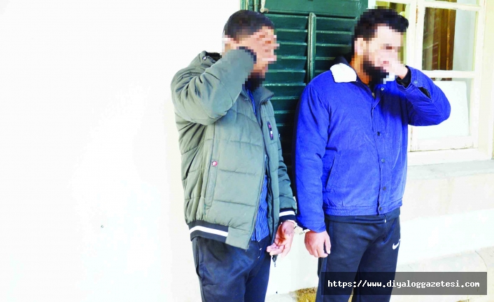 Cezaevine gönderildiler