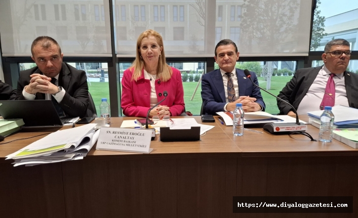 Çoğunluğu yabancı