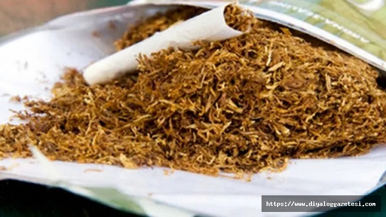 İkisi Kıbrıslı Türk