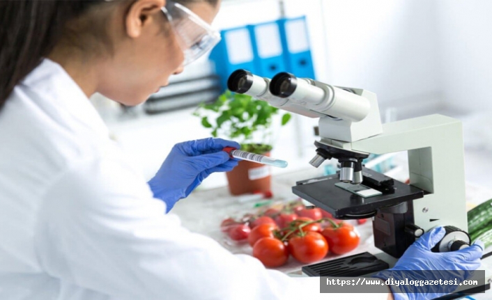 Üç ürün imha edildi