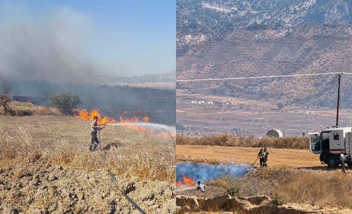 Kuru otları temizleyin