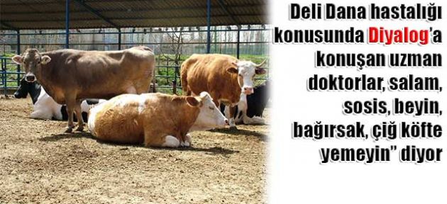 Alışkanlıklar değişmeli