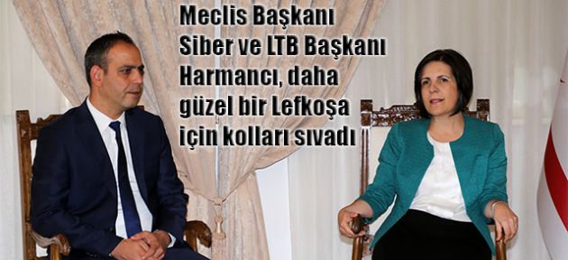 Birlikten güzellik doğacak