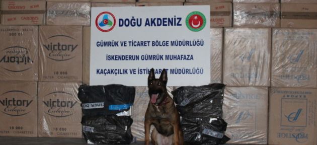 Büyük operasyon