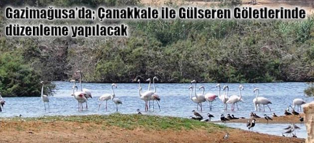 Çehresi değişecek