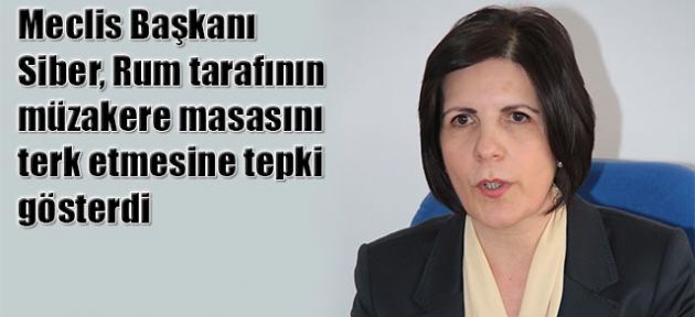 ‘Çözüm diline aykırı’