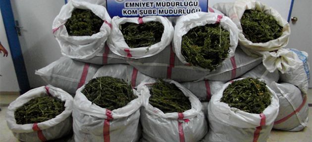  Çuval çuval zehir